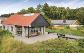 3 Bedroom Awesome Home In Blåvand